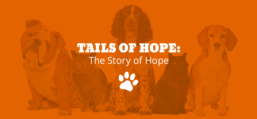 Tails of Hope: The Story of Hope