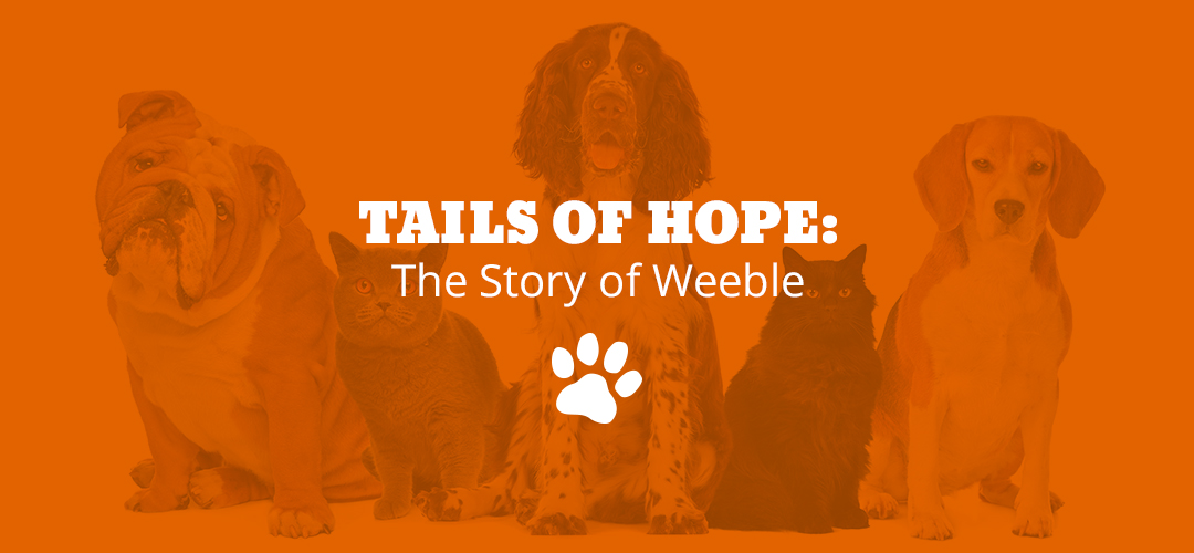 Tails of Hope: The Story of Weeble