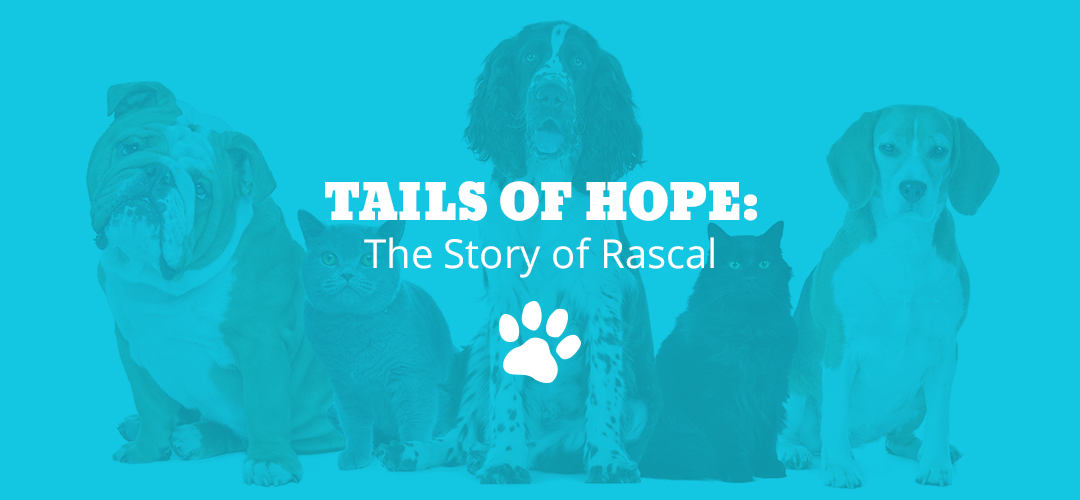 Tails of Hope: The Story of Rascal
