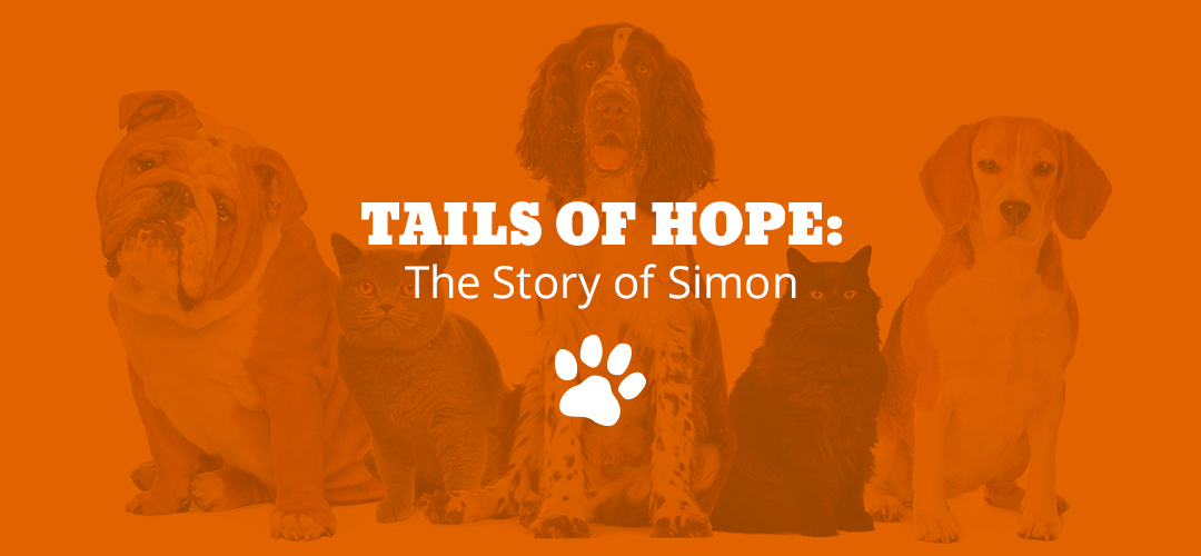 Tails of Hope: The Story of Simon