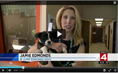 Humane Society of Macomb Achieves ‘No Kill’ Status