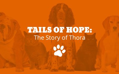 Tails of Hope: The Story of Thora