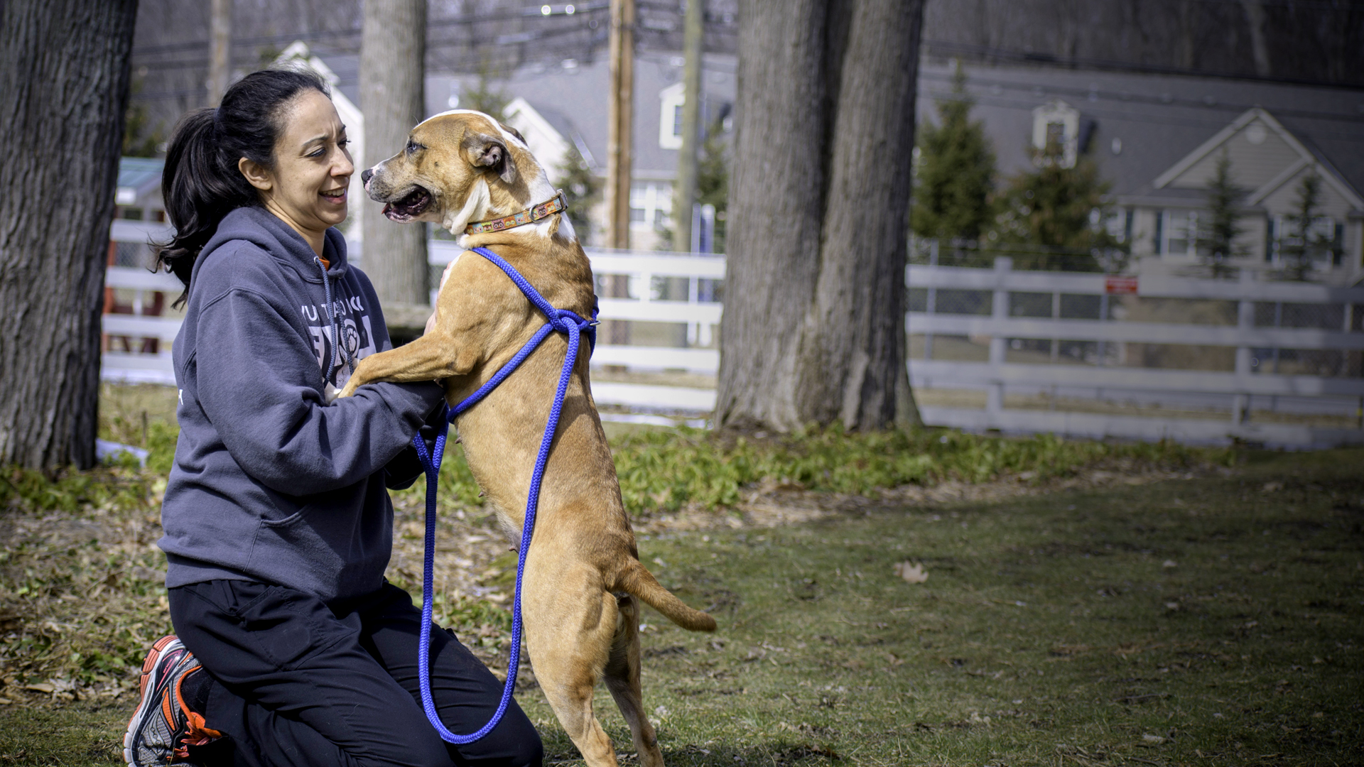 150318_Header-3 volunteer and dog outsite