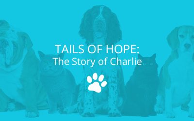 Tails of Hope: The Story of Charlie