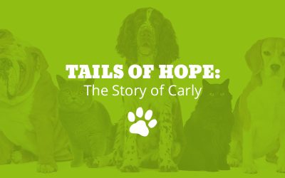 Tails of Hope: The Story of Carly