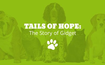 Tails of Hope: The Story of Gidget
