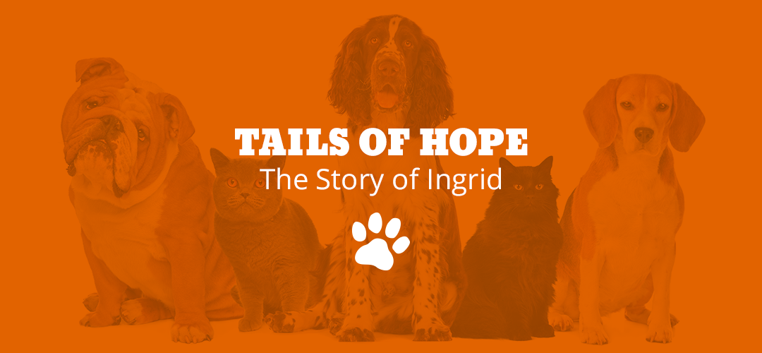 Tails of Hope: The Story of Ingrid