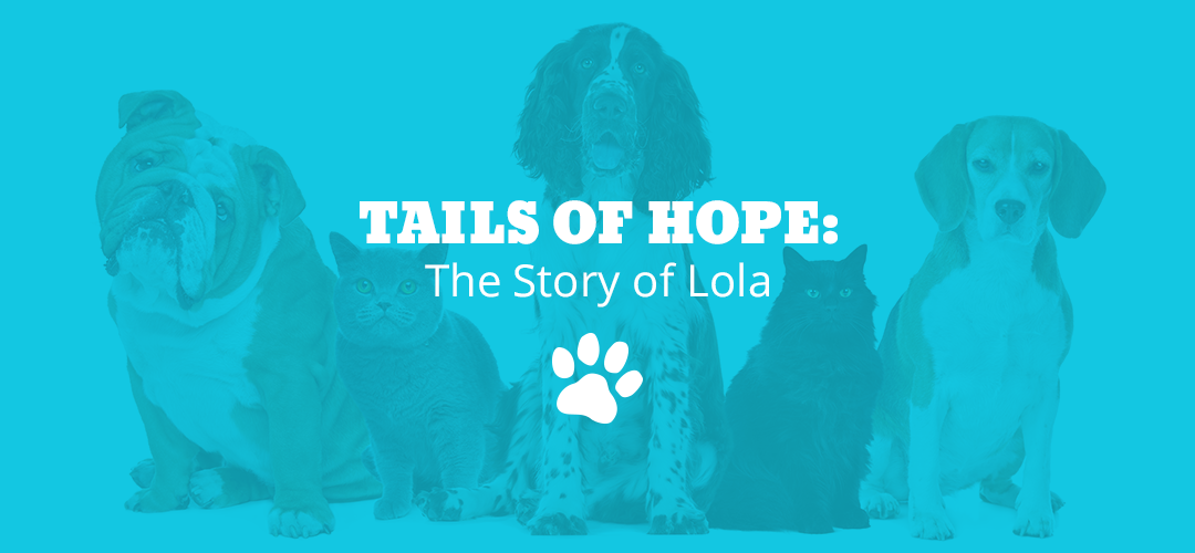 Tails of Hope: The Story of Lola