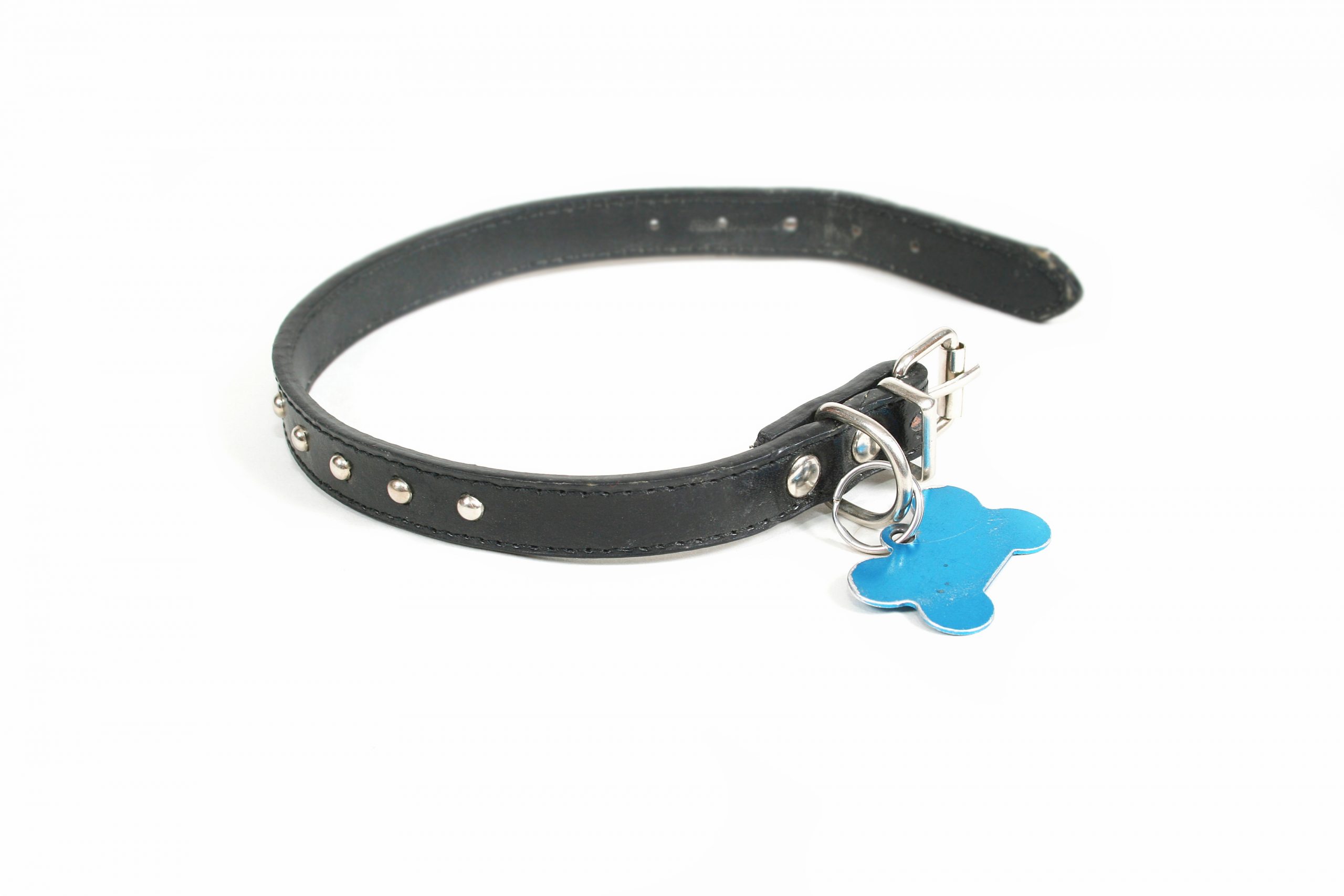 dog collar dog collar