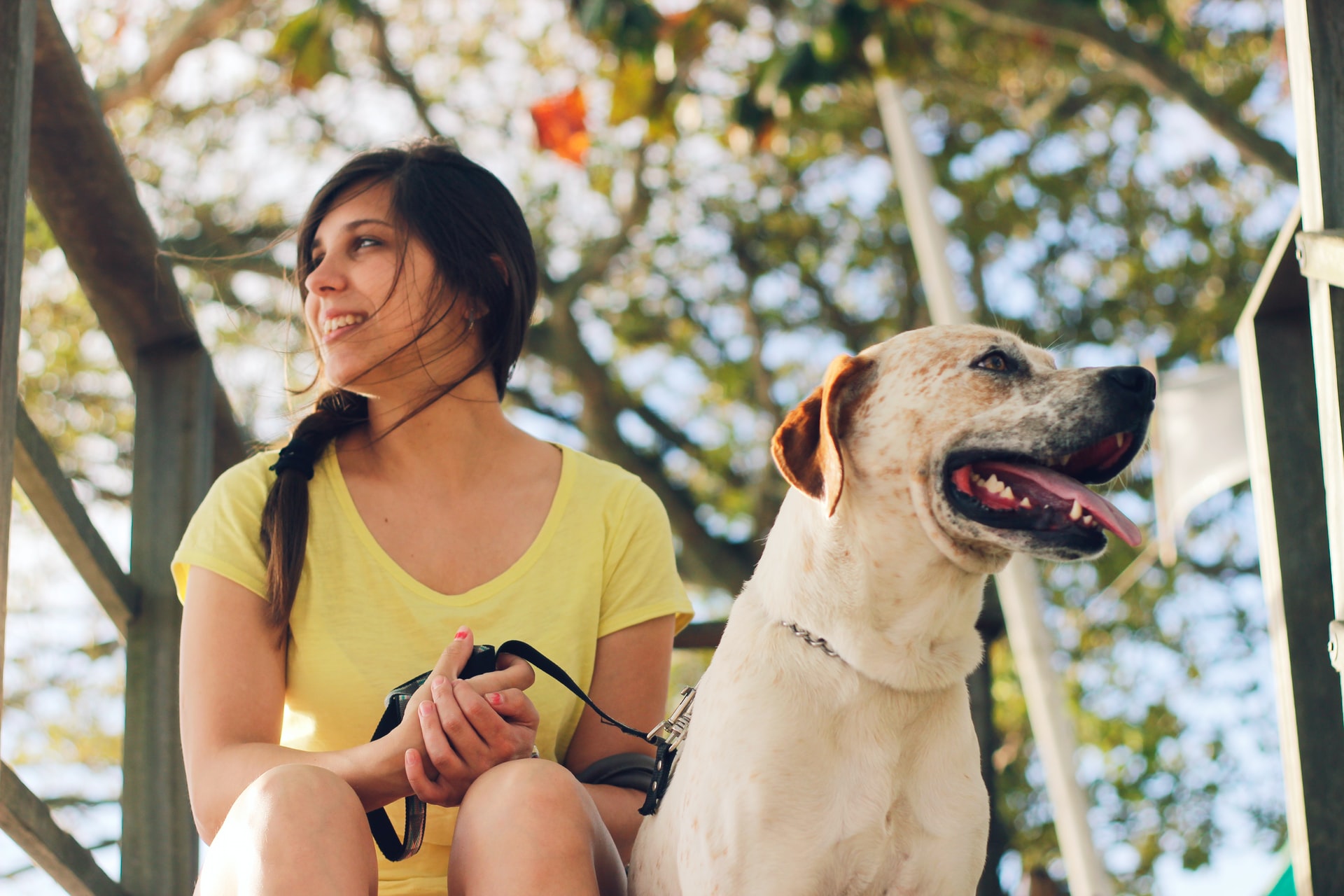 cassiano-psomas-3v0Gm1oF_uM-unsplash (1)-medium-07-13-2020 woman holding leash while sitting outside with dog during summer