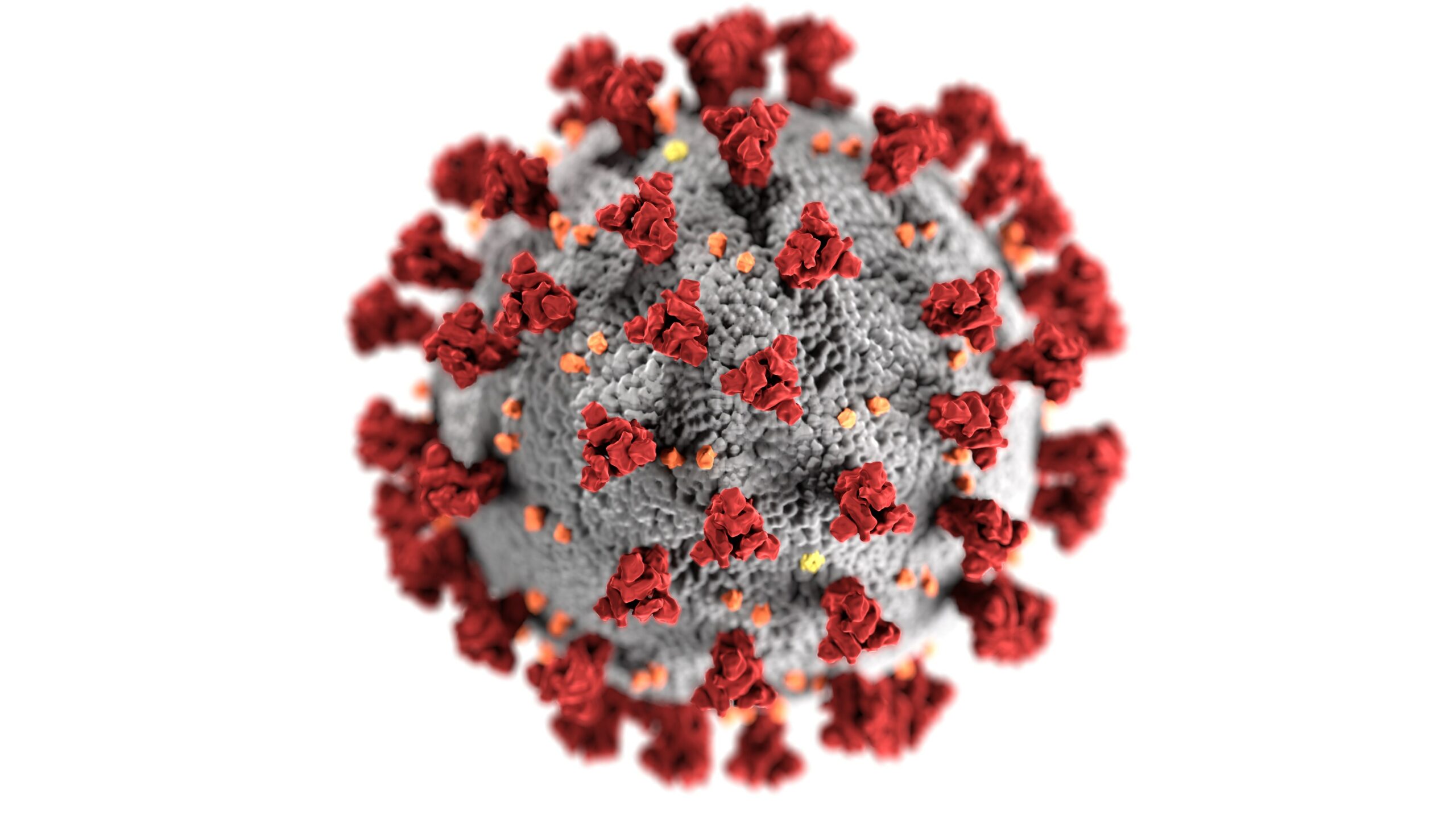 cdc-k0KRNtqcjfw-unsplash Coronavirus molecule