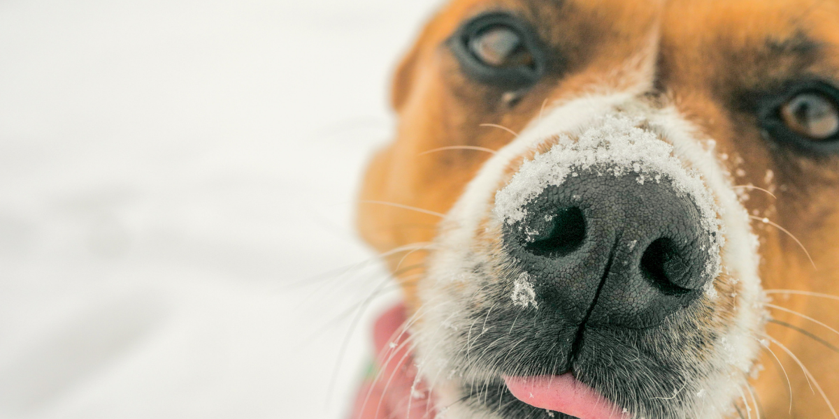 facebook image by KAC