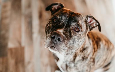 Get Ready for National Non-Profit Day