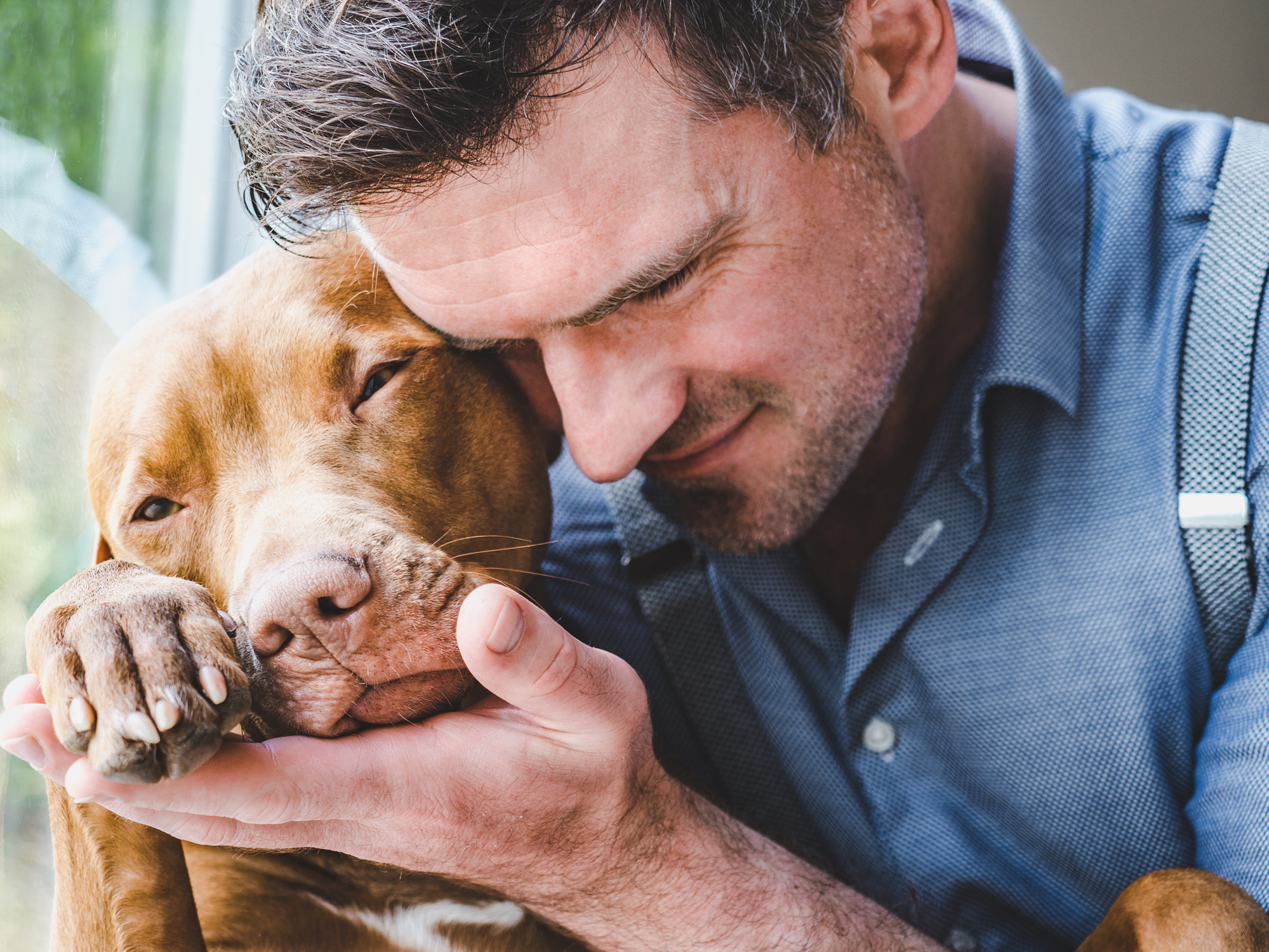 Handsome man and a charming puppy. Close-up brown pitbull hugging owner to symbolize adopt a shelter dog month