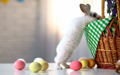 Stick With a Chocolate Bunny This Easter