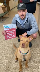 Cardi found a home during Bissel's Empty the Shelters Adoption Event!