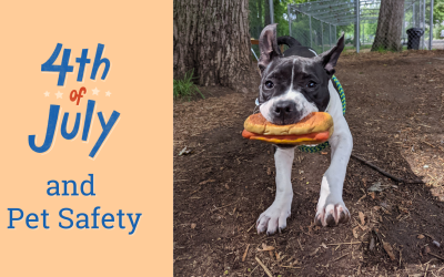 4th of July and Pet Safety  