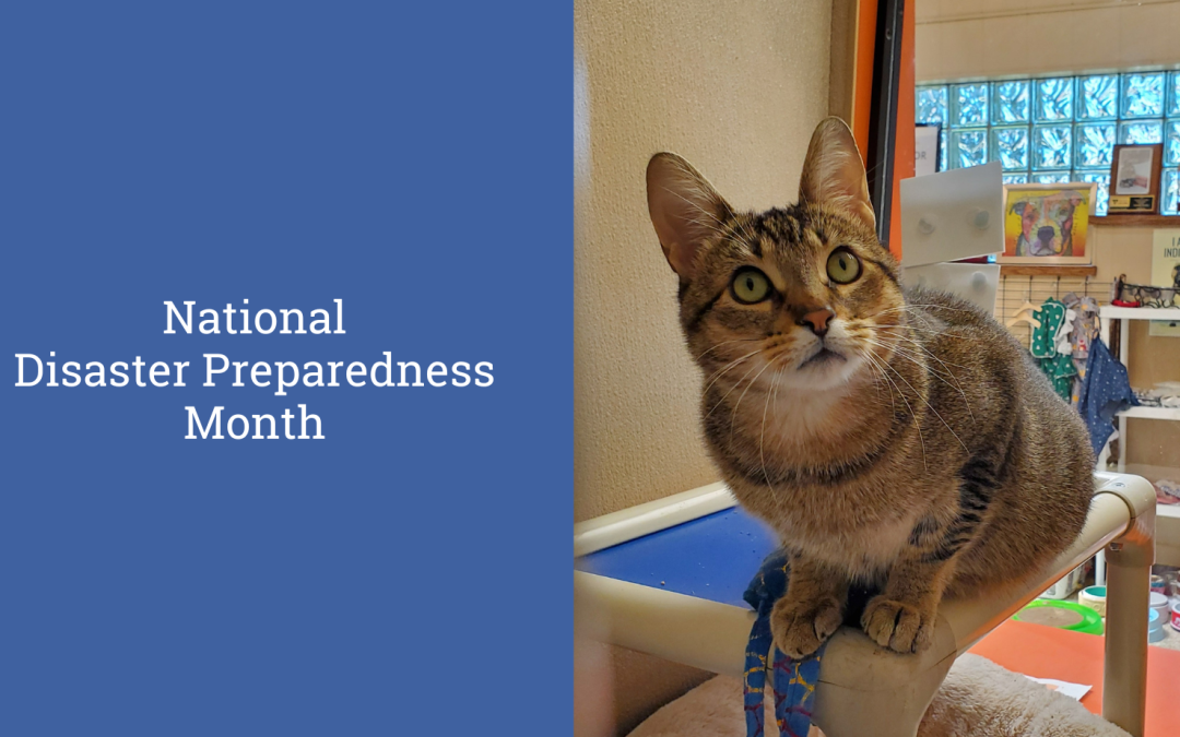 National Disaster Preparedness Month