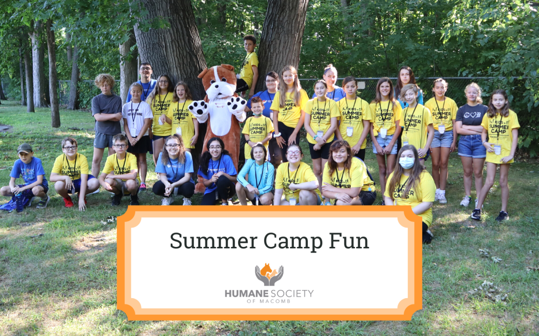 Summer Camp Fun 